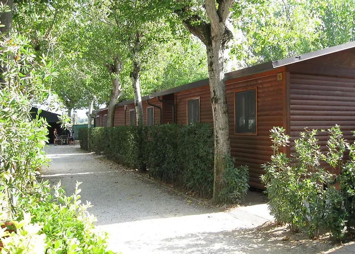 La Pineta